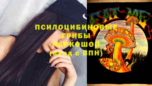 молекула духа Арсеньев