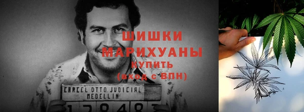 ПСИЛОЦИБИНОВЫЕ ГРИБЫ Балахна