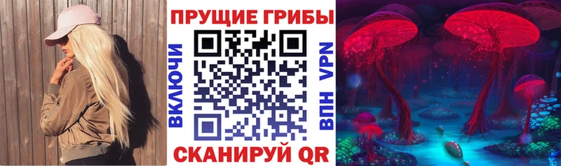 Псилоцибиновые грибы Psilocybe  дарнет шоп  omg сайт  Петушки 